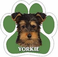 YORKIE PUP MAGNET