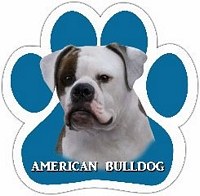 AMERICAN BULLDOG CAR MAGNET