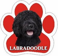 LABRADOODLE, BLACK CAR MAGNET