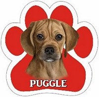 PUGGLE CAR MAGNET
