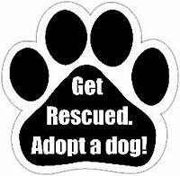 GET RESCUED ADOPT A PET MAGNET