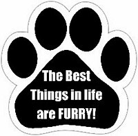 PAW PRINT MAGNET BEST THINGS IN LIFE ARE FURRY!