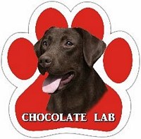 LABRADOR, CHOCOLATE CAR MAGNET