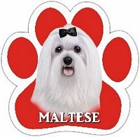 MALTESE MAGNET
