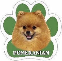 POMERANIAN MAGNET