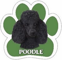 BLACK POODLE MAGNET