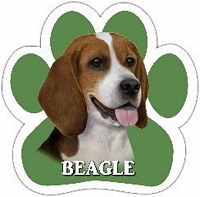 BEAGLE CAR MAGNET