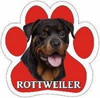 ROTTWEILER MAGNET