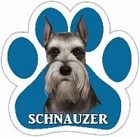 CROPPED SCHNAUZER MAGNET