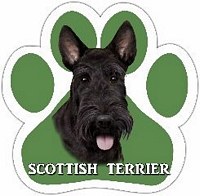 SCOTTIE MAGNET