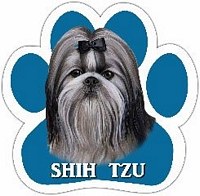 SHIH TZU MAGNET