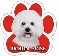 BICHON FRISE MAGNET