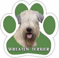 WHEATEN TERRIER MAGNET