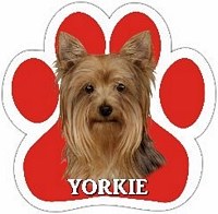 YORKIE CAR MAGNET