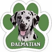 DALMATIAN MAGNET