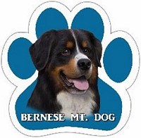 BERNESE MT. DOG MAGNET