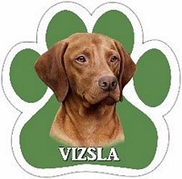 VISZIA CAR MAGNET
