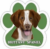 BRITTANY SPANIEL MAGNET