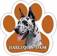HARLEQUIN DANE MAGNET