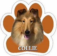 COLLIE MAGNET