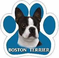 BOSTON TERRIER MAGNET