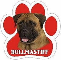 BULL MASTIFF MAGNET
