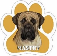 MASTIFF MAGNET