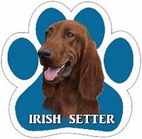 IRISH SETTER MAGNET