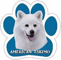 AMERICAN ESKIMO CAR MAGNET