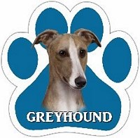 GREYHOUND TAN AND WHITE MAGNET