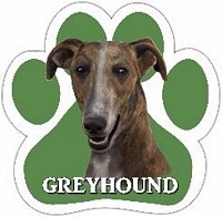 GREYHOUND BRINDLE MAGNET