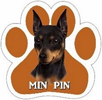 MIN PIN MAGNET