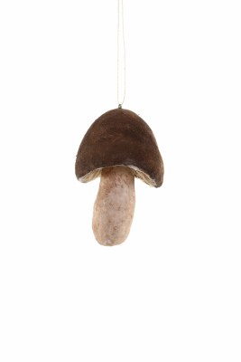 BROWN MUSHROOM