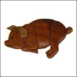 PIG MAGNET