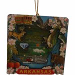 STATE OF ARKANSAS