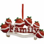 FAMILY OF 6 TO PERSONALIZE