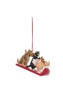 CATS ON SLED