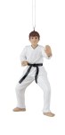 KARATE BOY