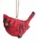 CARDINAL SONGBIRD