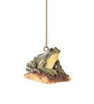 MINI FROG ON A LOG