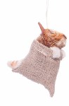 ORANGE  BRUSH CAT