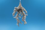 WHITE BEADED  CORAL