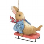 PETER RABBIT SLEDING