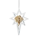 HOLY FAMILY STAR