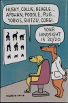 DOG HINDSIGHT