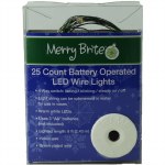 25CT BO LED WIRE LIGHTS