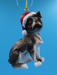 BOSTON TERRIER