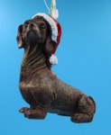 DACHSHUND