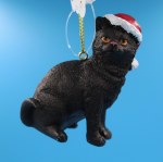 BLACK CAT