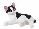BLACK AND WHITE CAT